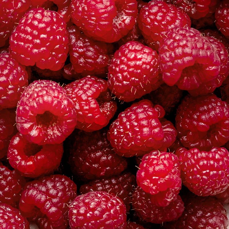 framboise min