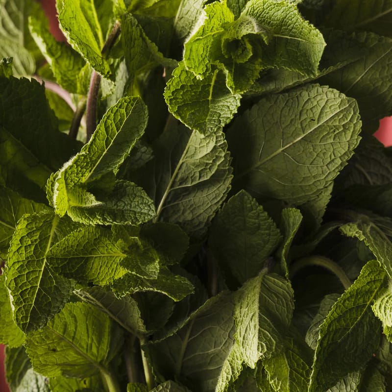 Nos Ingrédients menthe min